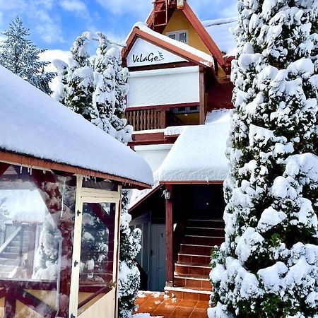Apartment Velago Zlatibor Eksteriør billede