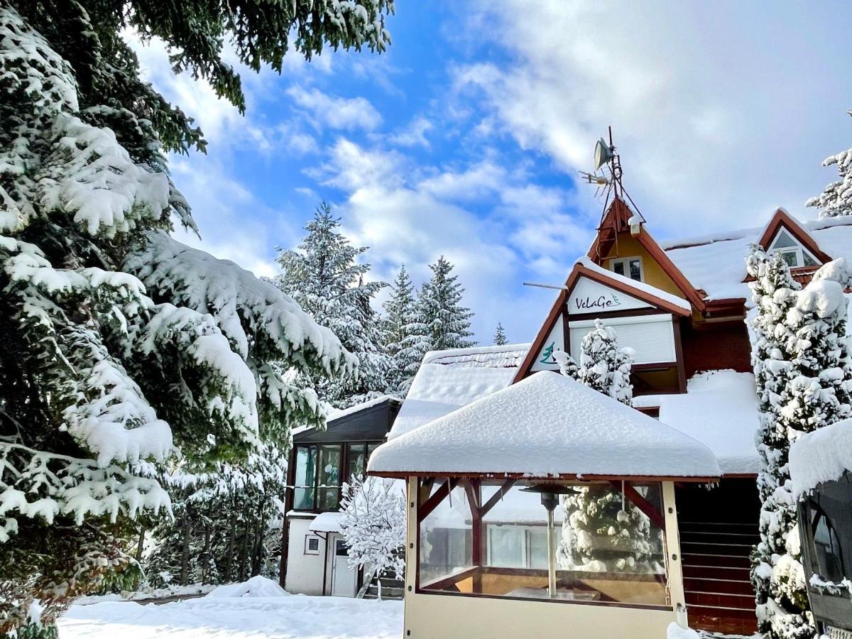Apartment Velago Zlatibor Eksteriør billede