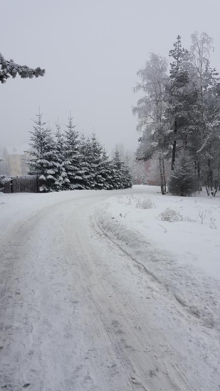 Apartment Velago Zlatibor Eksteriør billede