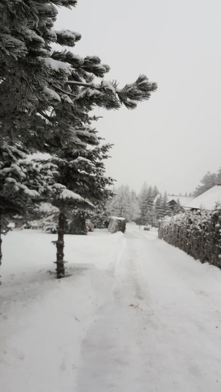 Apartment Velago Zlatibor Eksteriør billede